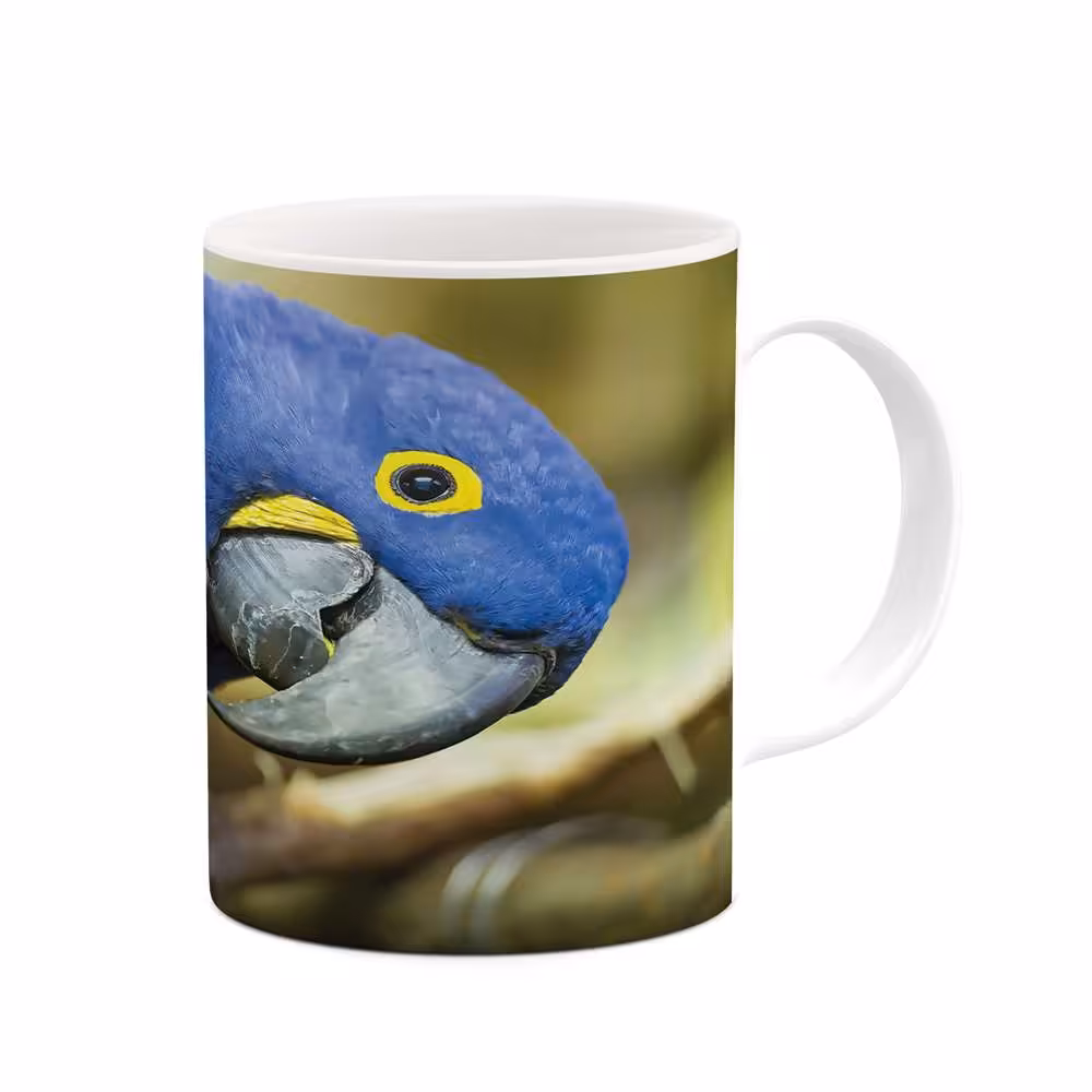 ماگ طرح طوطی مدل mgs06188