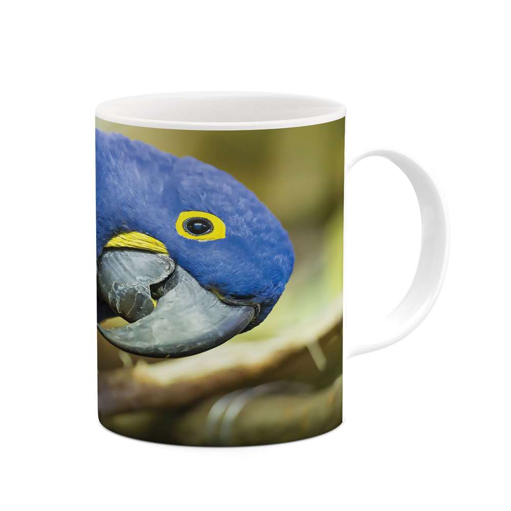 ماگ طرح طوطی مدل mgs06188