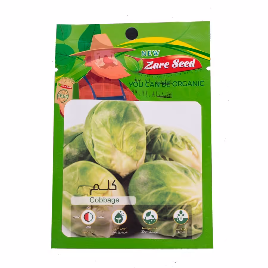 بذر کلم سبز