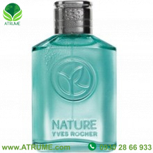 عطر ادکلن ایو روشه سایپرس ات پمپلموس 75 میل مردانه