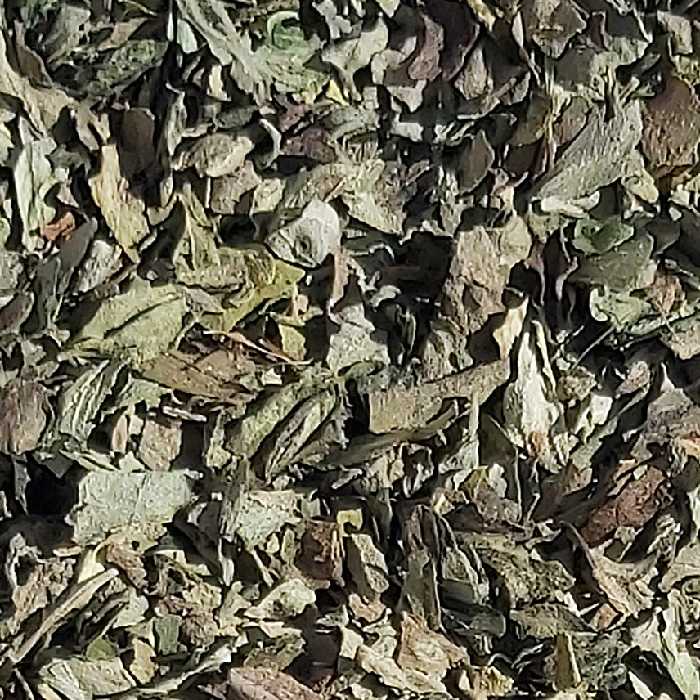 سبزی خشک ریحان  - (فله 2 کیلویی) - محصولی از برند صادراتی فردوس ناب