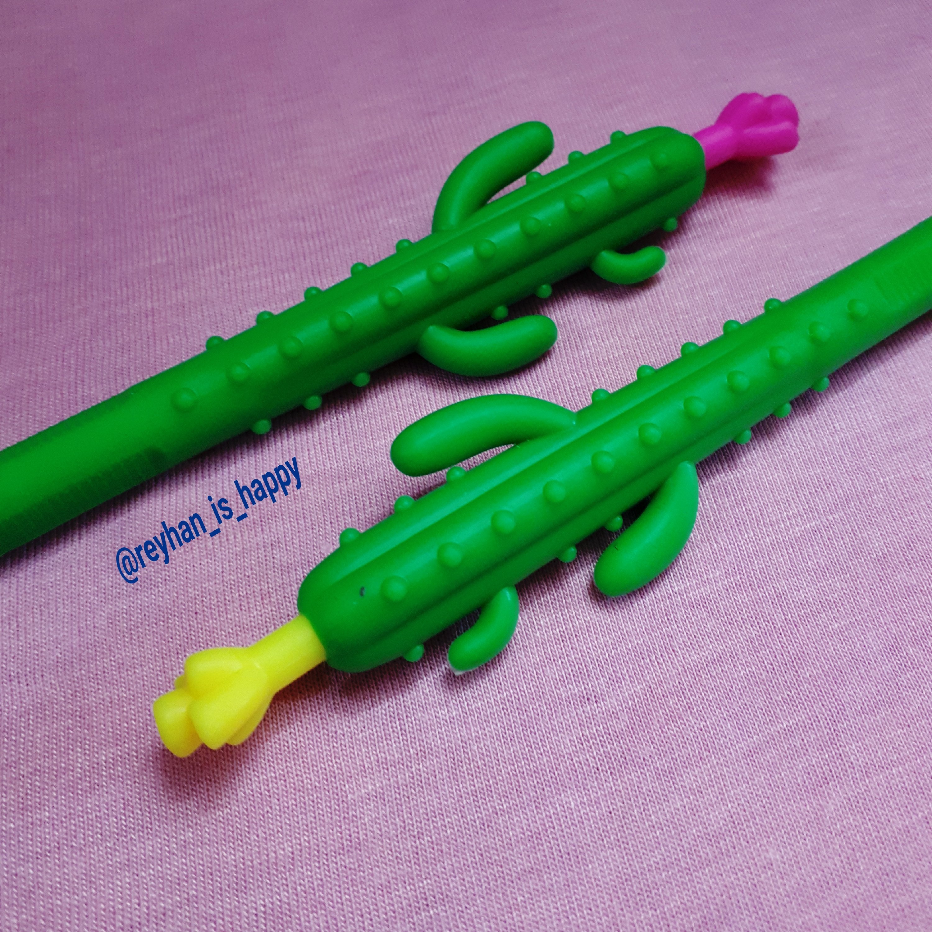 اتود کاکتوسی