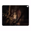 برچسب پوششی ماهوت مدل Owl مناسب برای تبلت اپل iPad Pro 12.9 (GEN 3) 2018 A1983