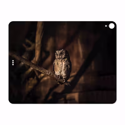 برچسب پوششی ماهوت مدل Owl مناسب برای تبلت اپل iPad Pro 12.9 (GEN 3) 2018 A1983