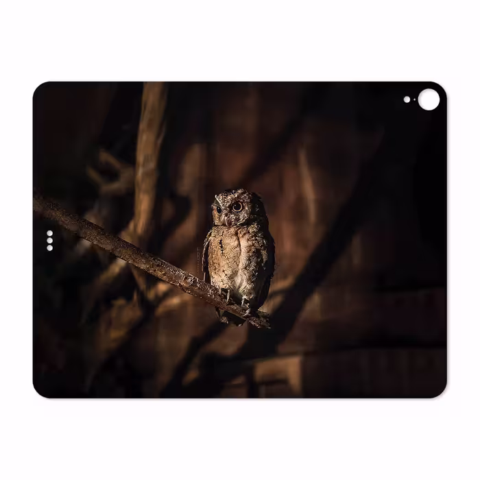 برچسب پوششی ماهوت مدل Owl مناسب برای تبلت اپل iPad Pro 12.9 (GEN 3) 2018 A1983