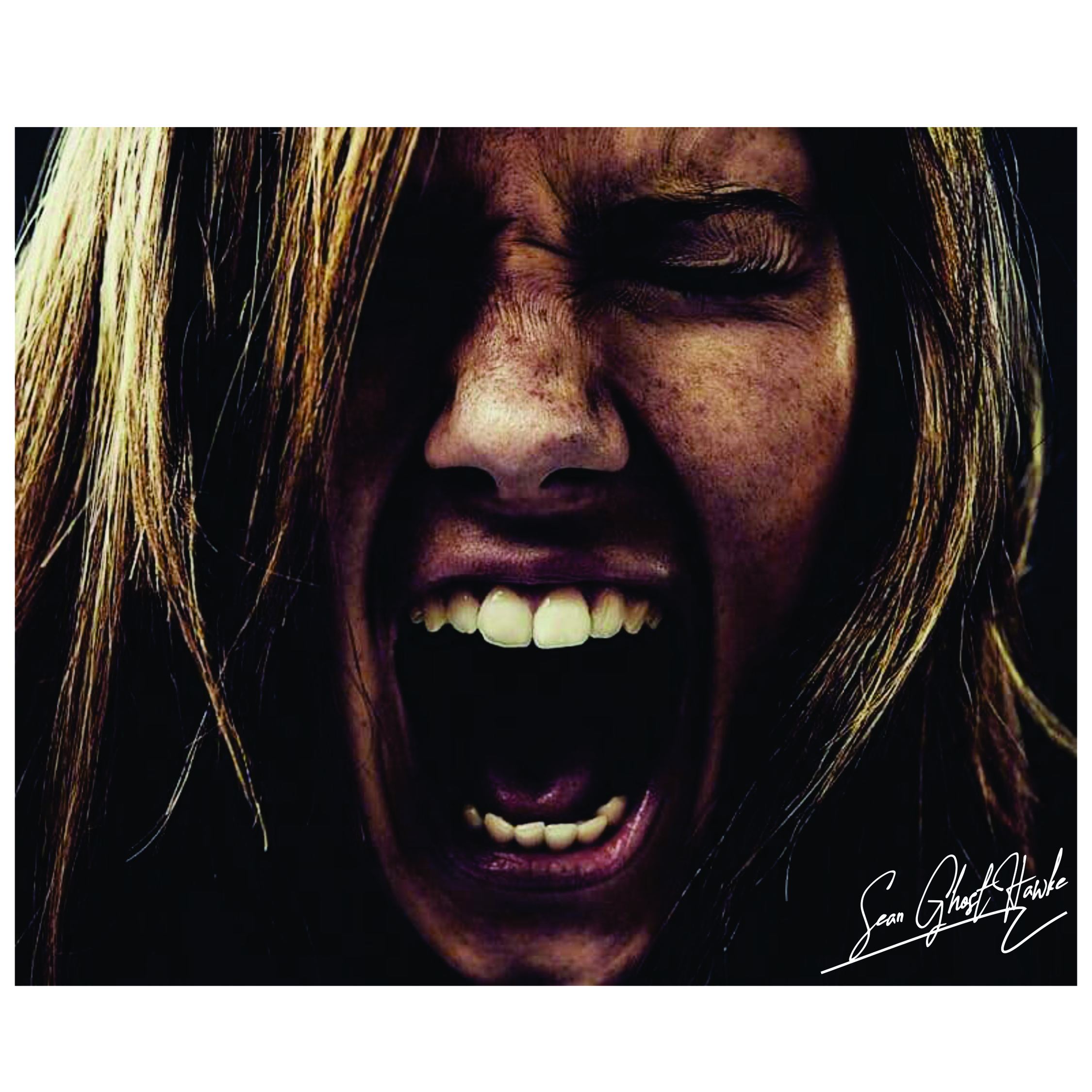 تابلو شاسی مدل فریاد خاموش