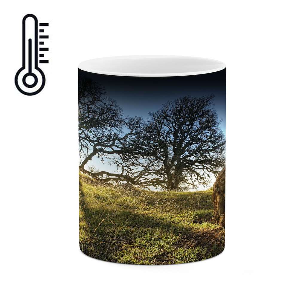 ماگ حرارتی طرح طبیعت مدل mgh01504