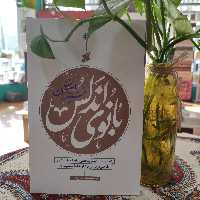 کتاب بانوی اندلس پژوهشی مستند درباره زندگانی و زادگاه مادر گرامی امام رضا(ع) و حضرت معصومه چاپ و نشر بین الملل