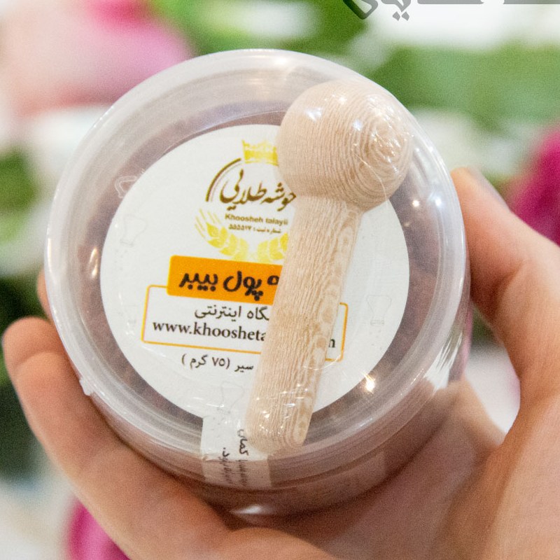 پول بیبر ترکیه اصلی