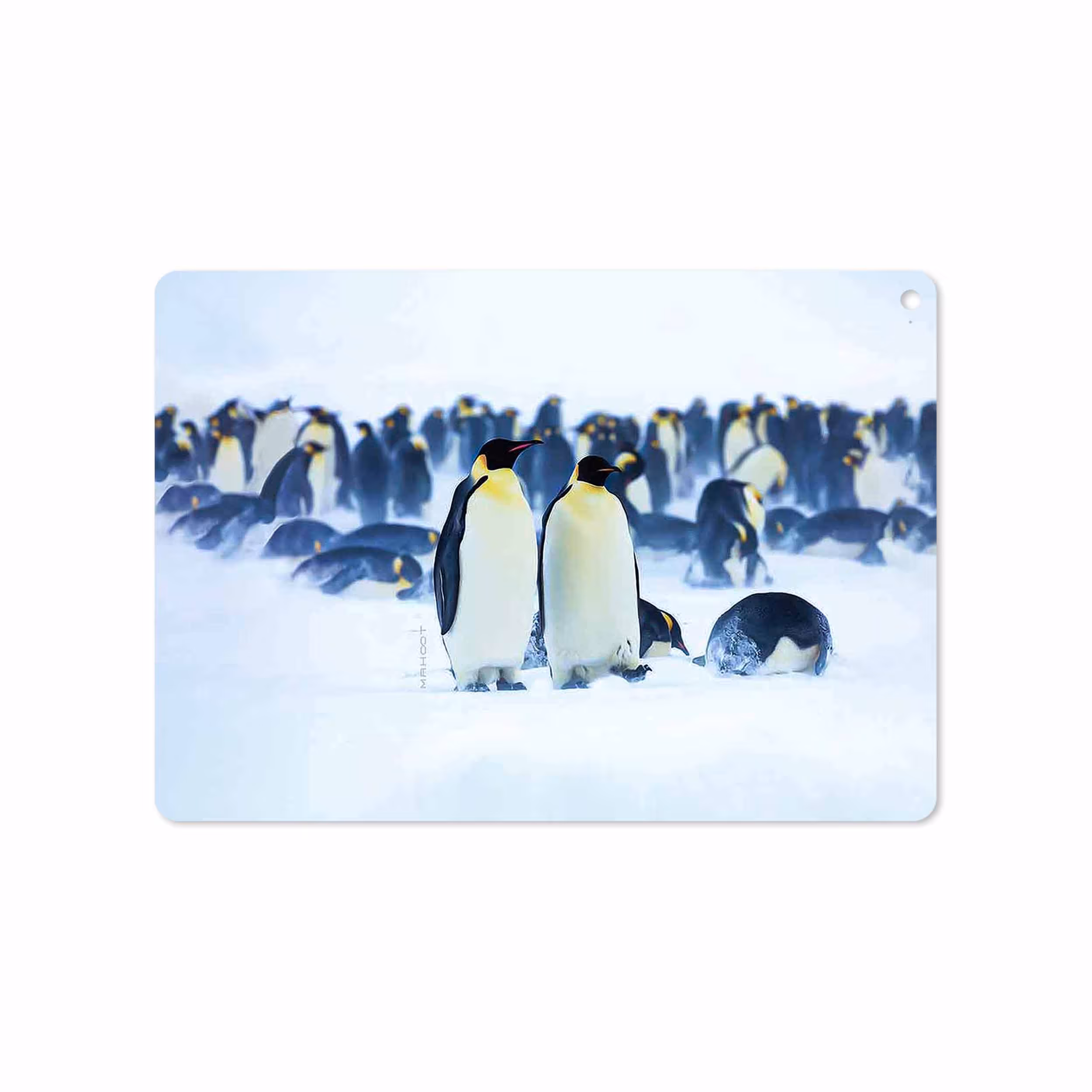 برچسب پوششی ماهوت مدل Penguin مناسب برای تبلت اپل iPad Air 2 2014 A1566