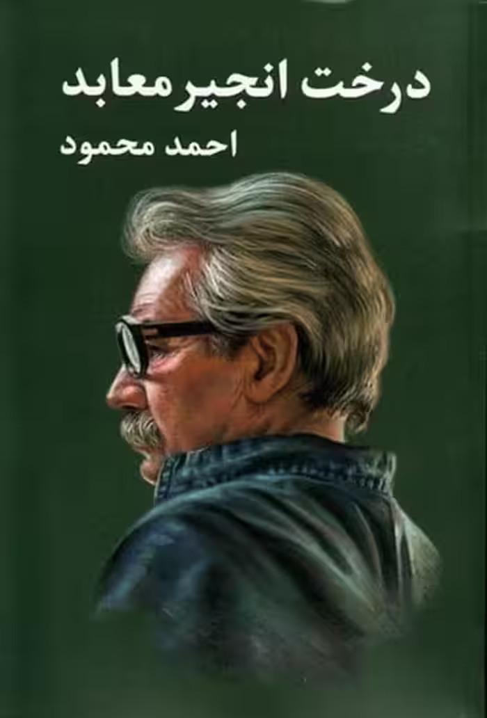درخت انجیر معابد (دوره دو جلدی ) - کتاب‌فروشی کوچه کتاب