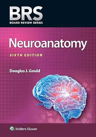 خرید و دانلود کتاب BRS Neuroanatomy (Board Review Series) 6th Edition