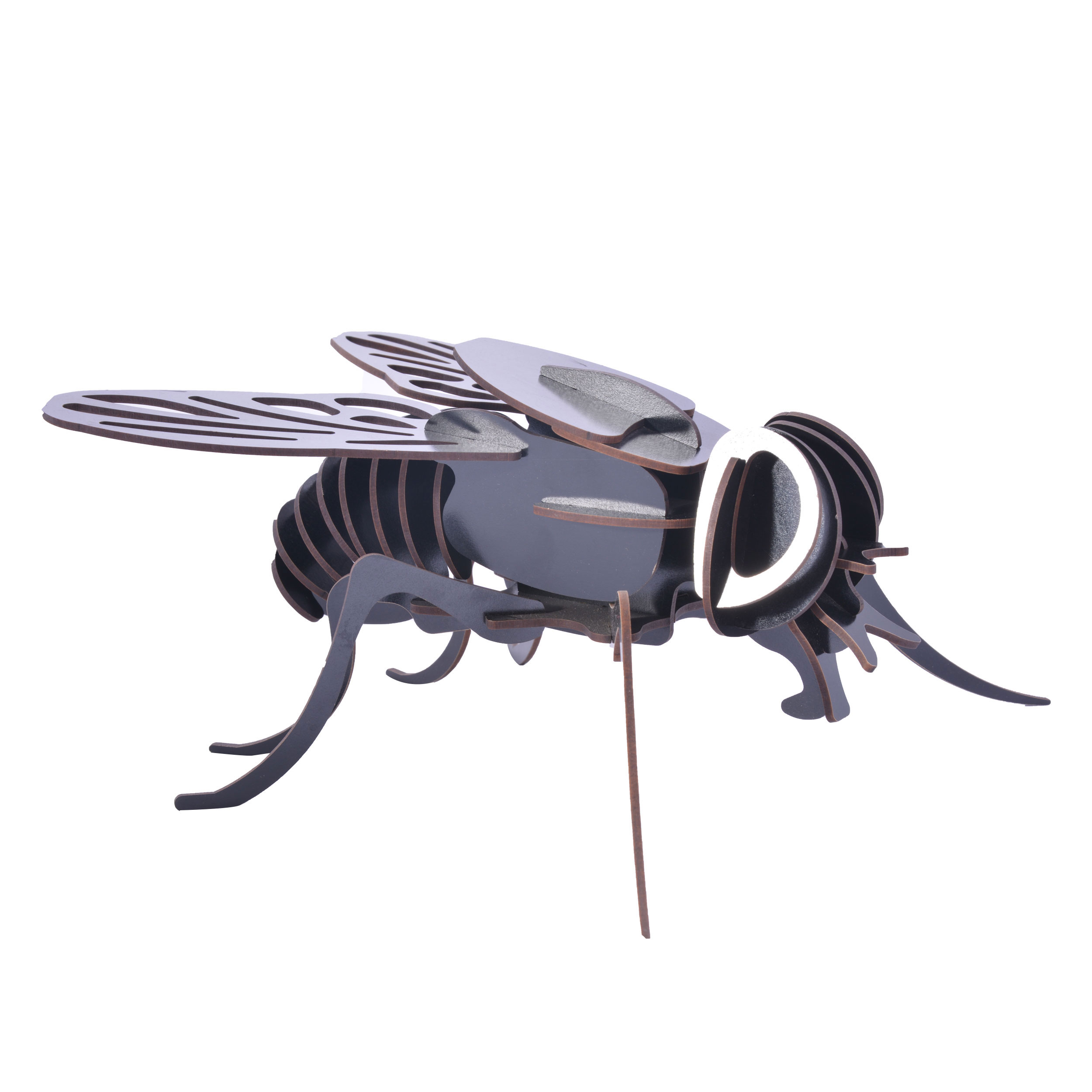  ساختنی آبان مدل مگس کد Pz2010015