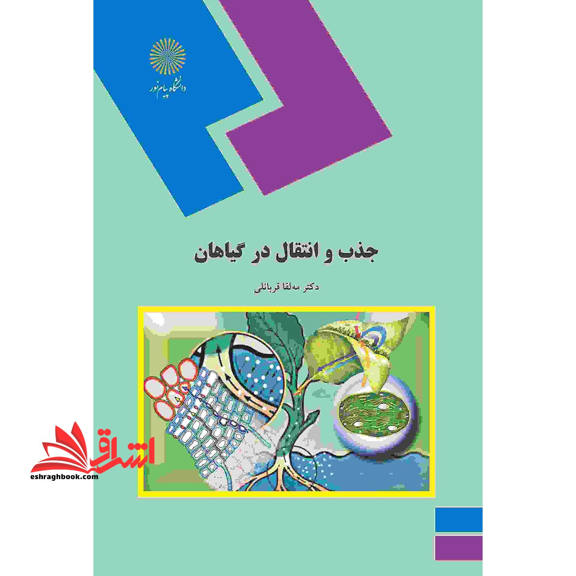 جذب و انتقال در گیاهان (رشته زیست شناسی) - فروشگاه کتاب اشراق