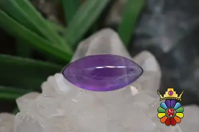 امتیست دامله(کاپوشی)