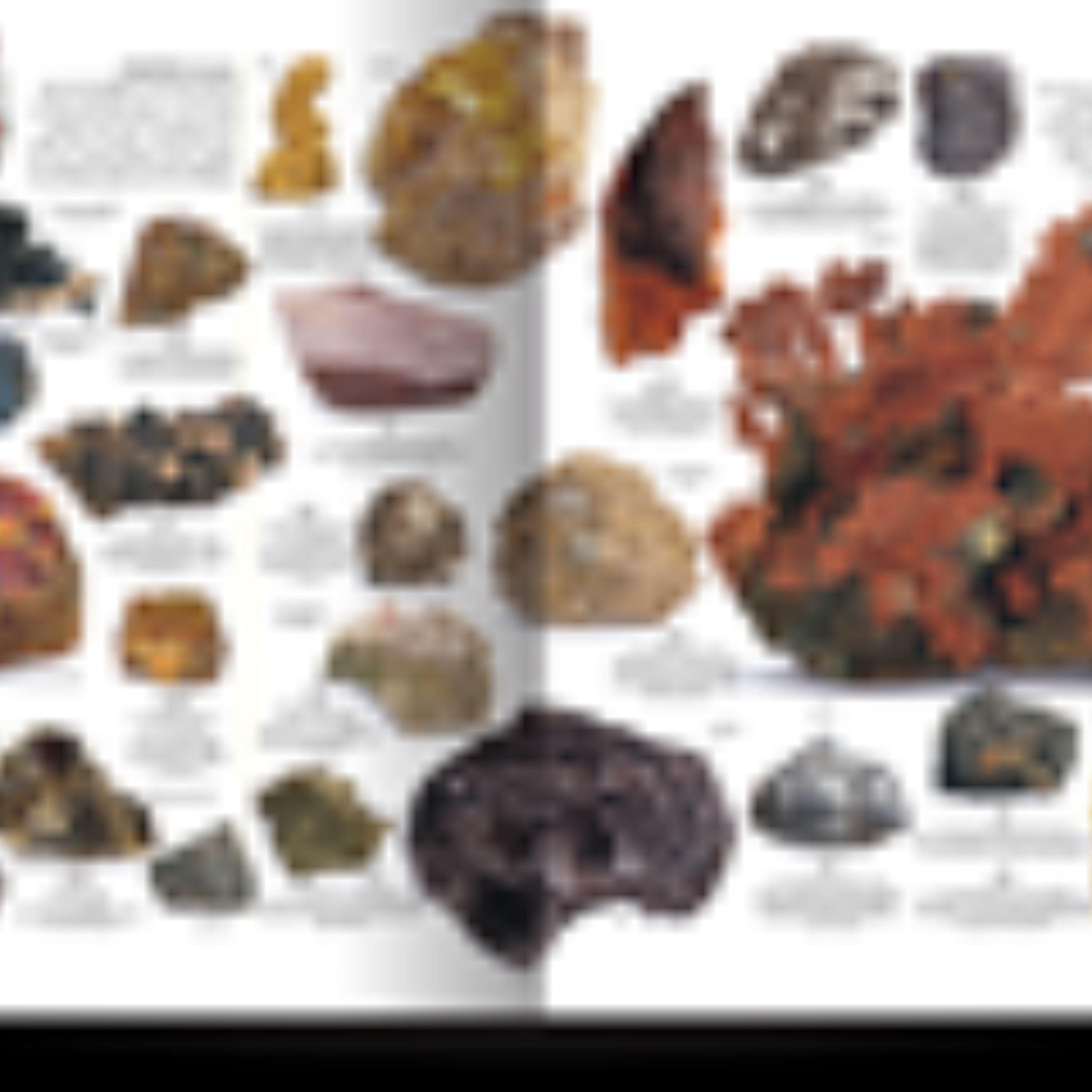 دایره المعارف مصور آفرینش