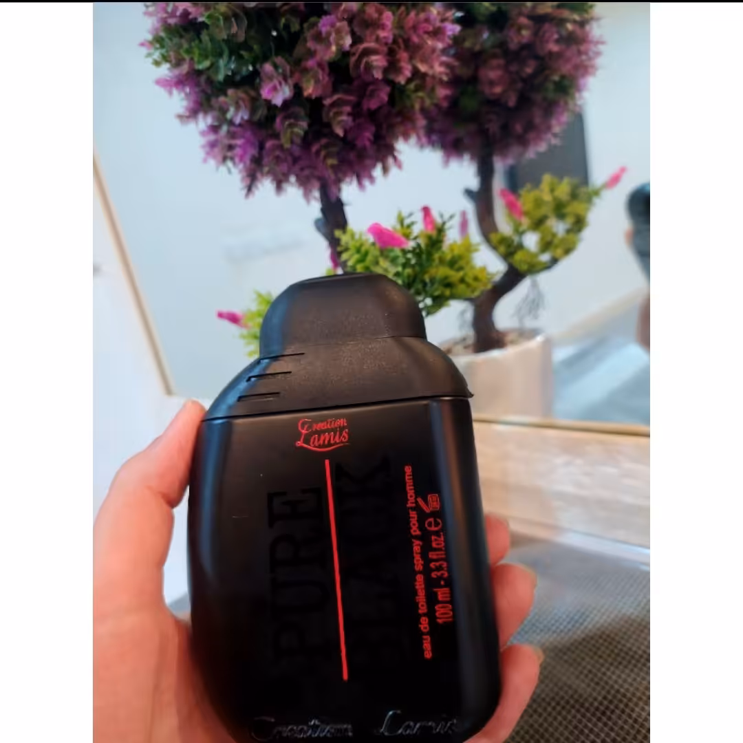 ادکلن پور بلک مردانه اصل Pure Black