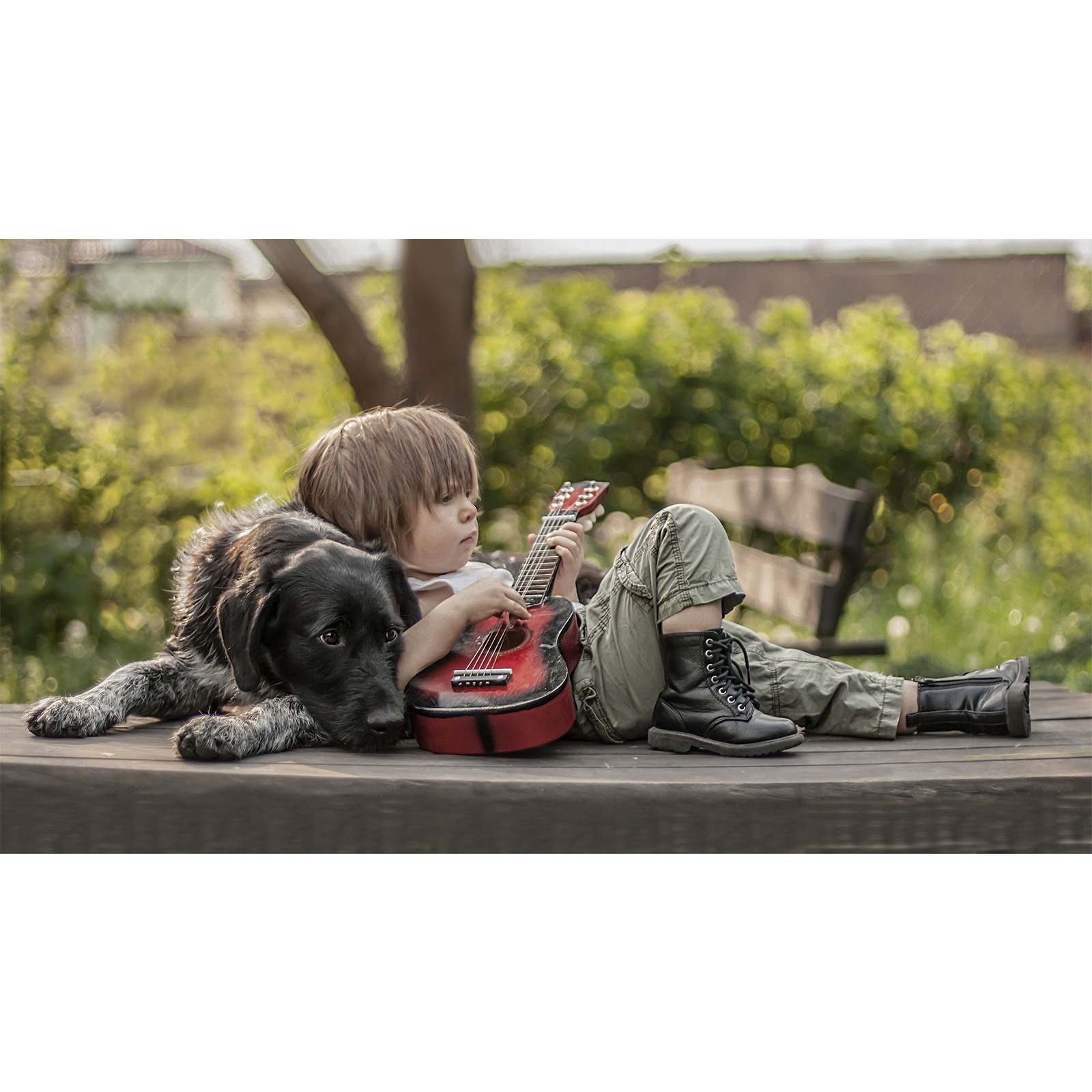 تابلو شاسی مدل زیباترین عکس های جهان-حیوانات دوست داشتنی کد 118