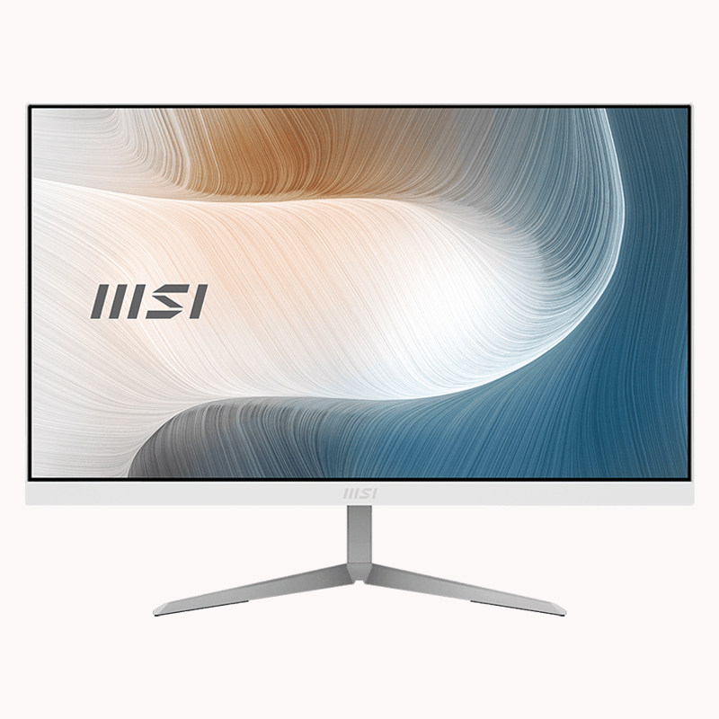 آل این وان ام اس آی Modern AM241 11M-AB Touch