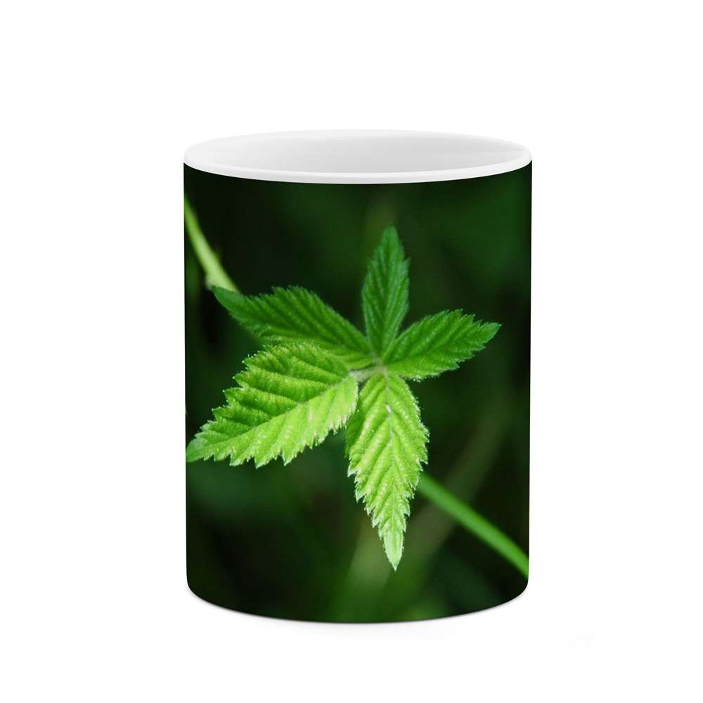 ماگ طرح برگ مدل mgs12208