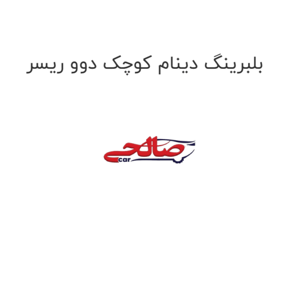 بلبرینگ دینام کوچک دوو ریسر