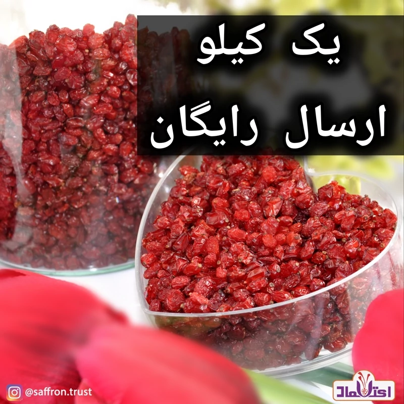 زرشک پفکی اعلا امسالی 500 گرمی رنگ روشن دانه درشت(تخفیف) | amazonchi
