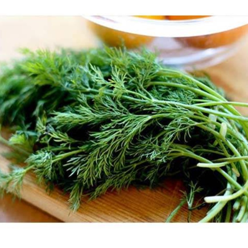 سبزی شوید ترخرد شده خانگی خوش عطر شمال درجه یک برای یک سبزی پلوی عالی ارسال با باکس یخ دربسته های 500 گرم