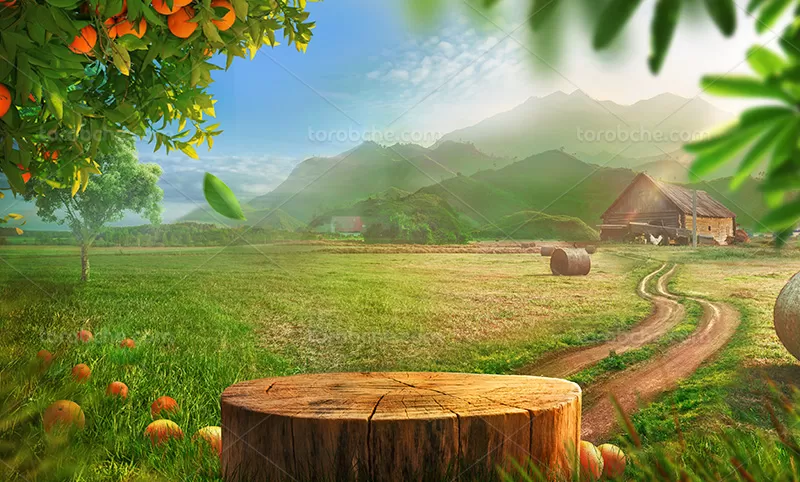 پس زمینه عکاسی محصول با کیفیت | گرافیک با طعم تربچه