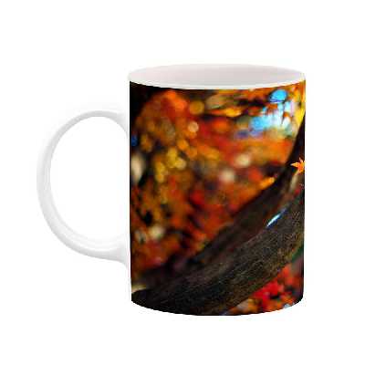 ماگ کاکتی طرح پاییز مدل mgh19328