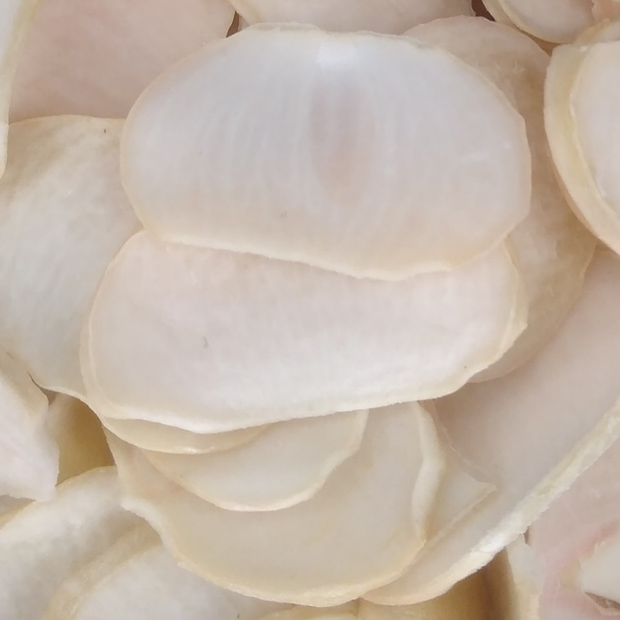 موسیر پلاکی محلی اعلا 500 گرم