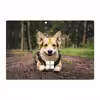 برچسب پوششی ماهوت مدل Dog-2 مناسب برای تبلت مایکروسافت Surface Pro 4 2015