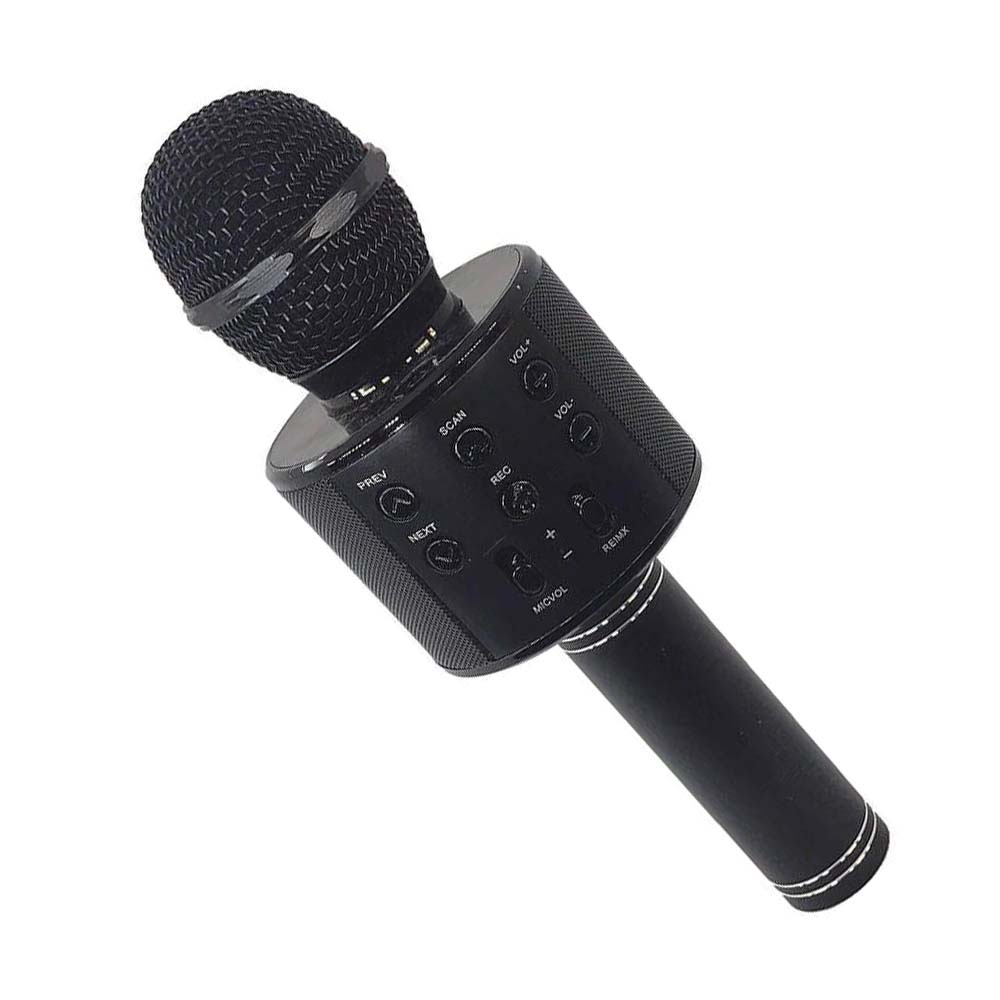 میکروفون اسپیکر مدل WS-858