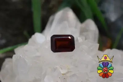 گارنت هسونیت