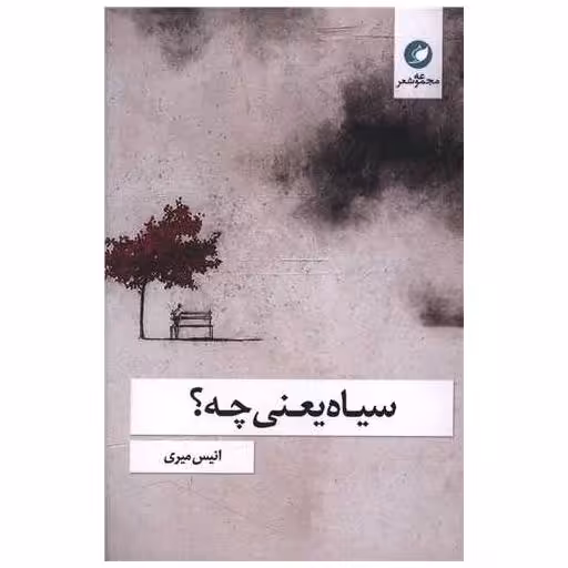 کتاب سیاه یعنی چه اثر انیس میری