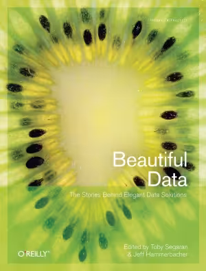 خرید و دانلود نسخه کامل کتاب Beautiful Data