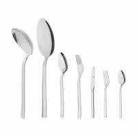سرویس قاشق و چنگال 57 پارچه پاشا مدل روما