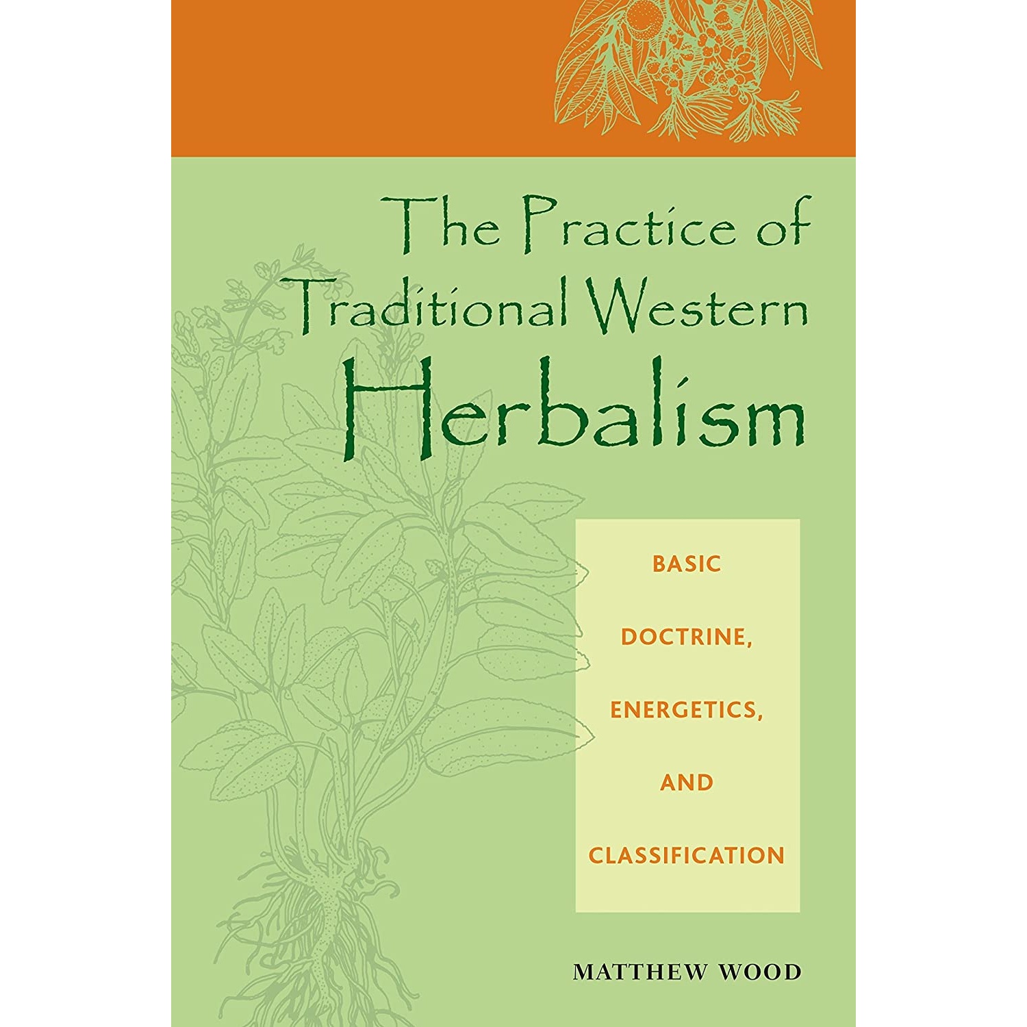کتاب The Practice of Traditional Western Herbalism اثر Matthew Wood انتشارات North Atlantic Books