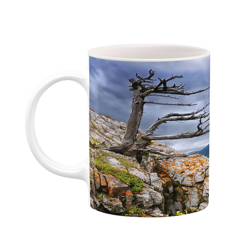 ماگ طرح طبیعت مدل mgs05720