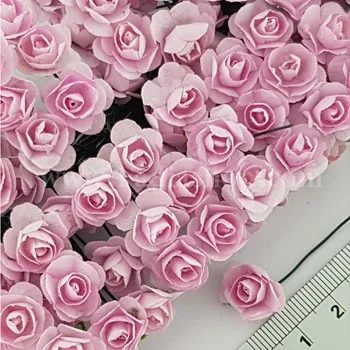 گل رز کوچک صورتی روشن