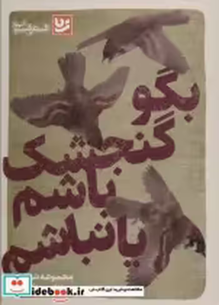 قیمت و خرید کتاب بگو گنجشک باشم یا نباشم شعر شباب29 | ایده بوک