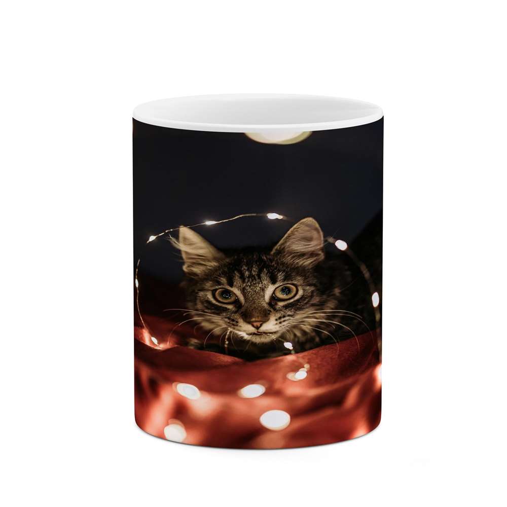 ماگ کاکتی طرح گربه مدل mgs16576