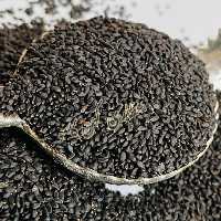 تخم شربتی درشت وزن 200گرم