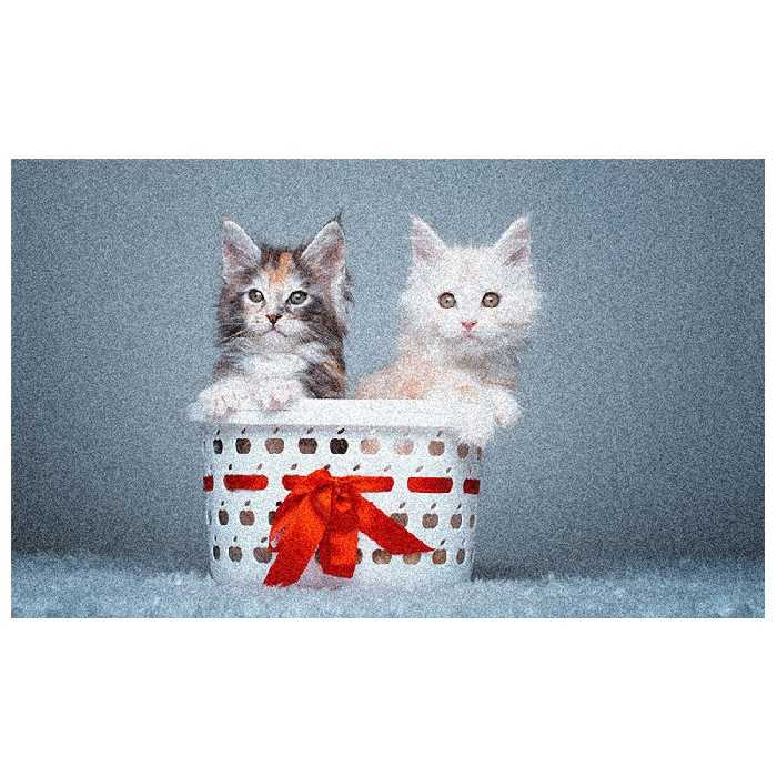 تابلو فرش ماشینی چاپی 1200 شانه فانتزی گربه سایز 50 در 70 (حیوانات)