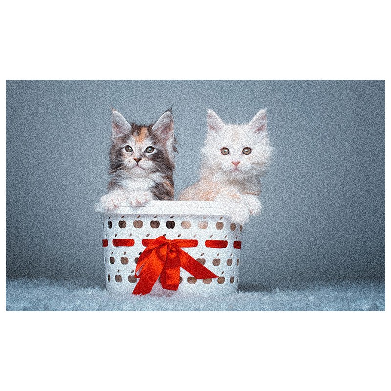 تابلو فرش ماشینی چاپی 1200 شانه فانتزی گربه سایز 50 در 70 (حیوانات)