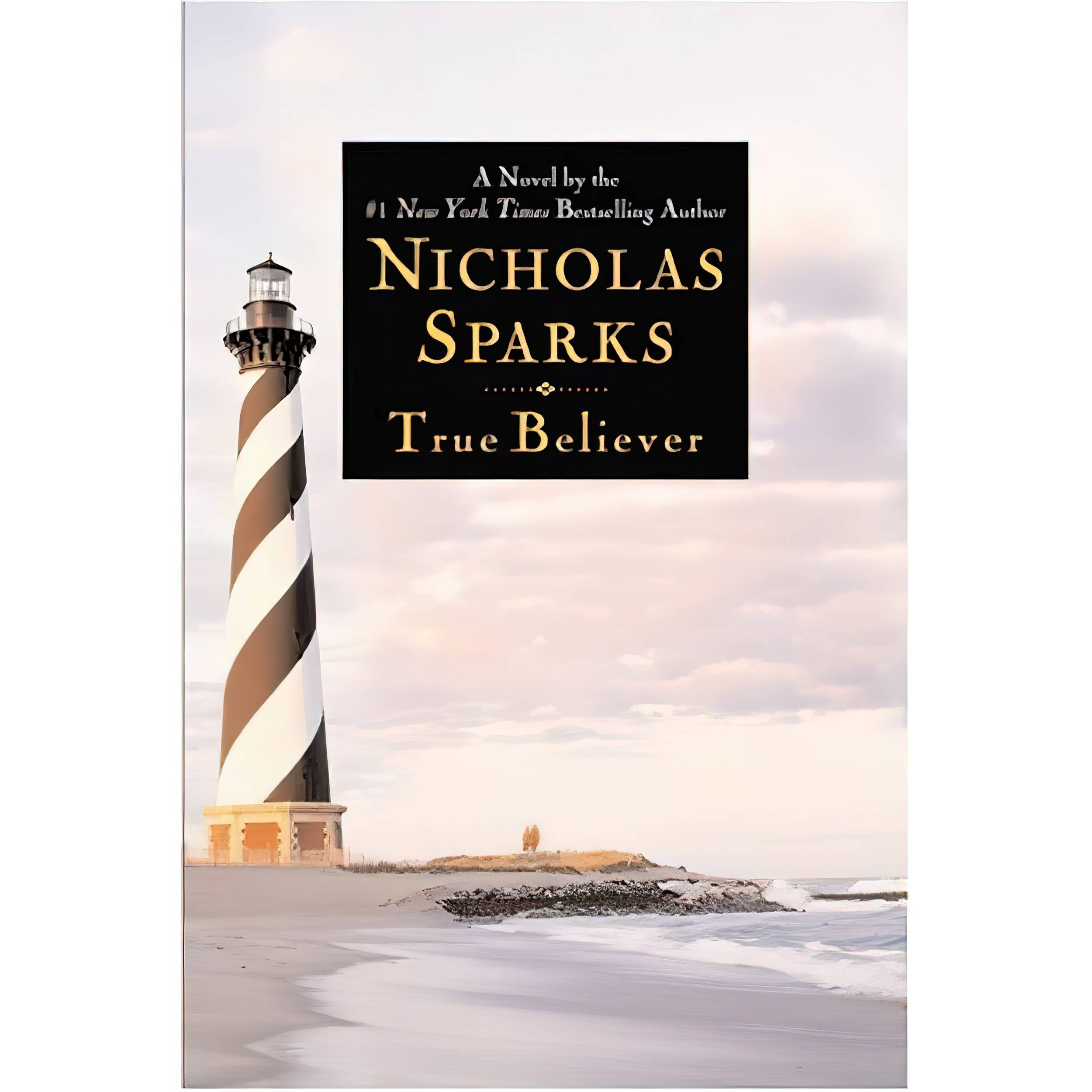 کتاب True Believer اثر Nicholas Sparks انتشارات Grand Central Publishing