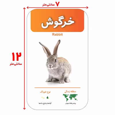 فلش کارت های آشنایی با حیوانات پستانداران انتشارات اندیشه کهن