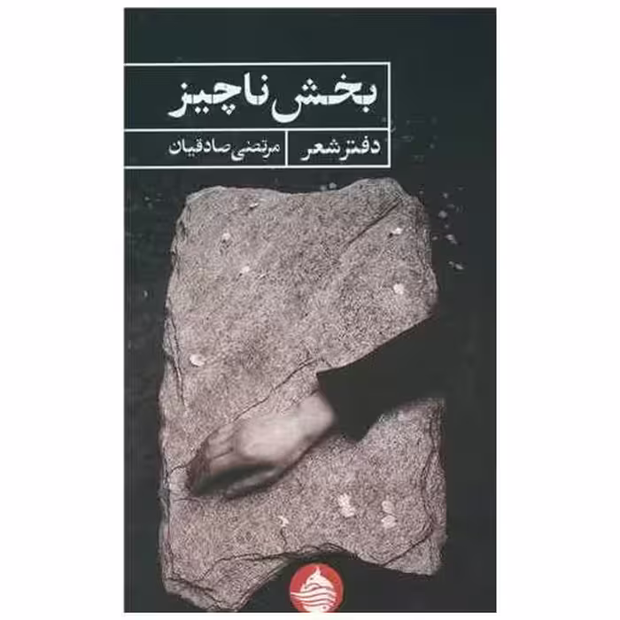 کتاب بخش ناچیز اثر مرتضی صادقیان