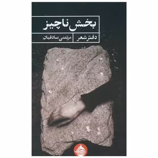 کتاب بخش ناچیز اثر مرتضی صادقیان