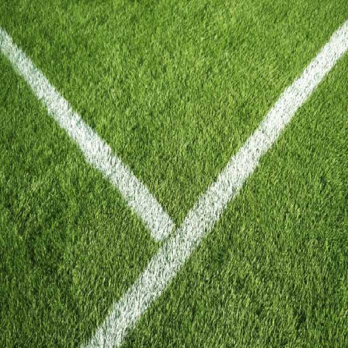 خرید و دانلود عکس نمای نزدیک از چمن زمین فوتبال مناسب محتوا باشگاه‌ ورزشی | پیک فاکس | Pic Fox
