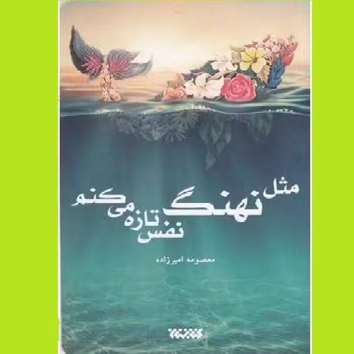کتاب مثل نهنگ نفس تازه می کنم اثر معصومه امیرزاده نشر کتابستان